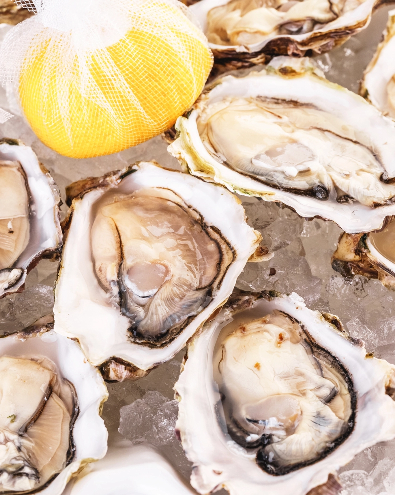 Atlantica seafood