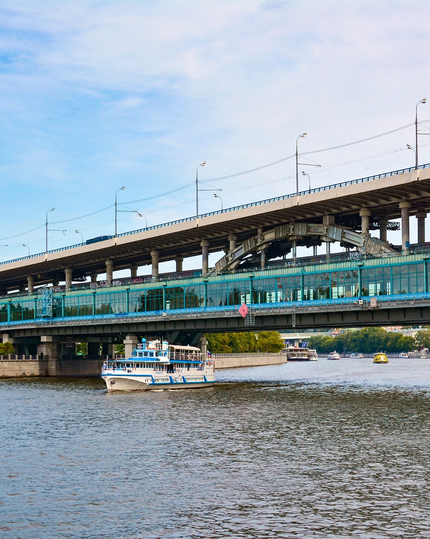 Лужнецкий метромост