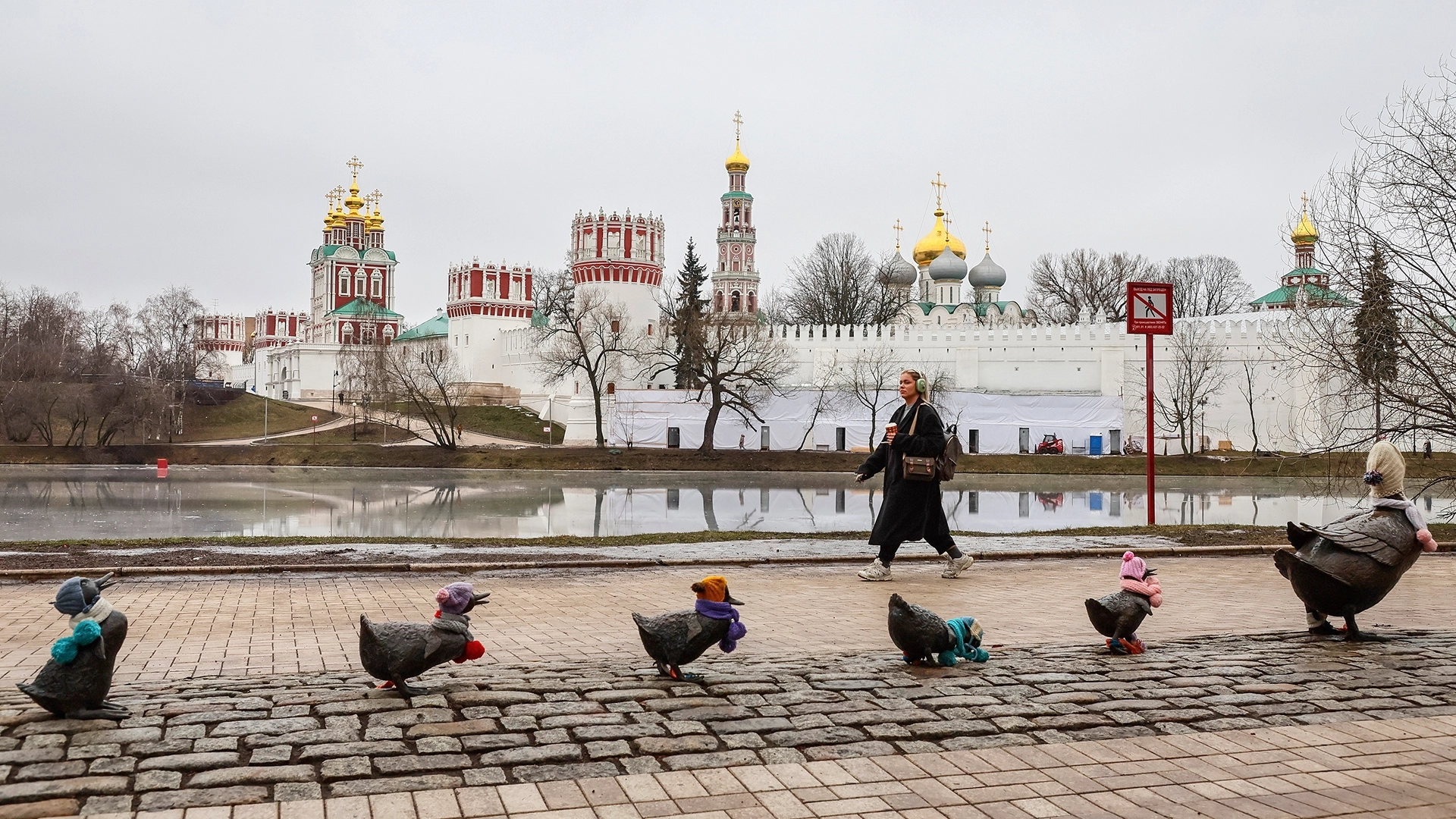 мама утка и восемь утят