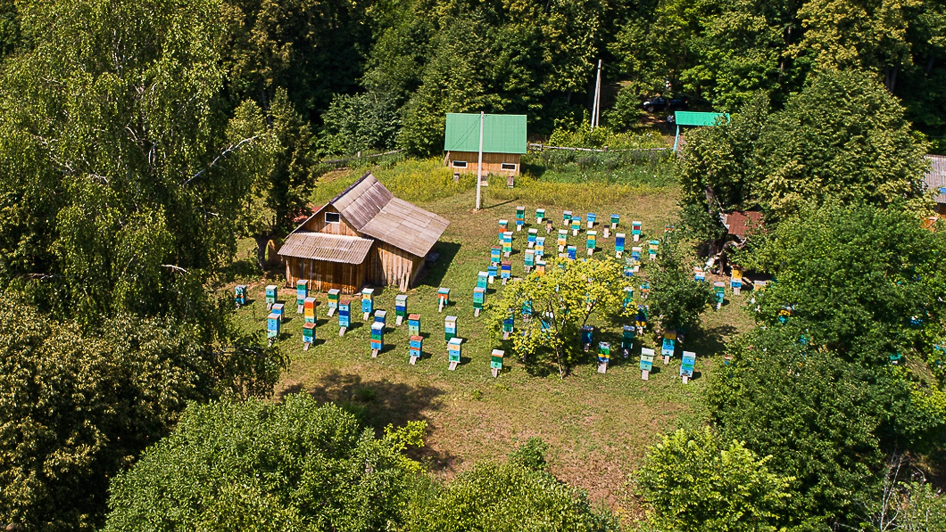 Пасеки в Республике Башкортостан