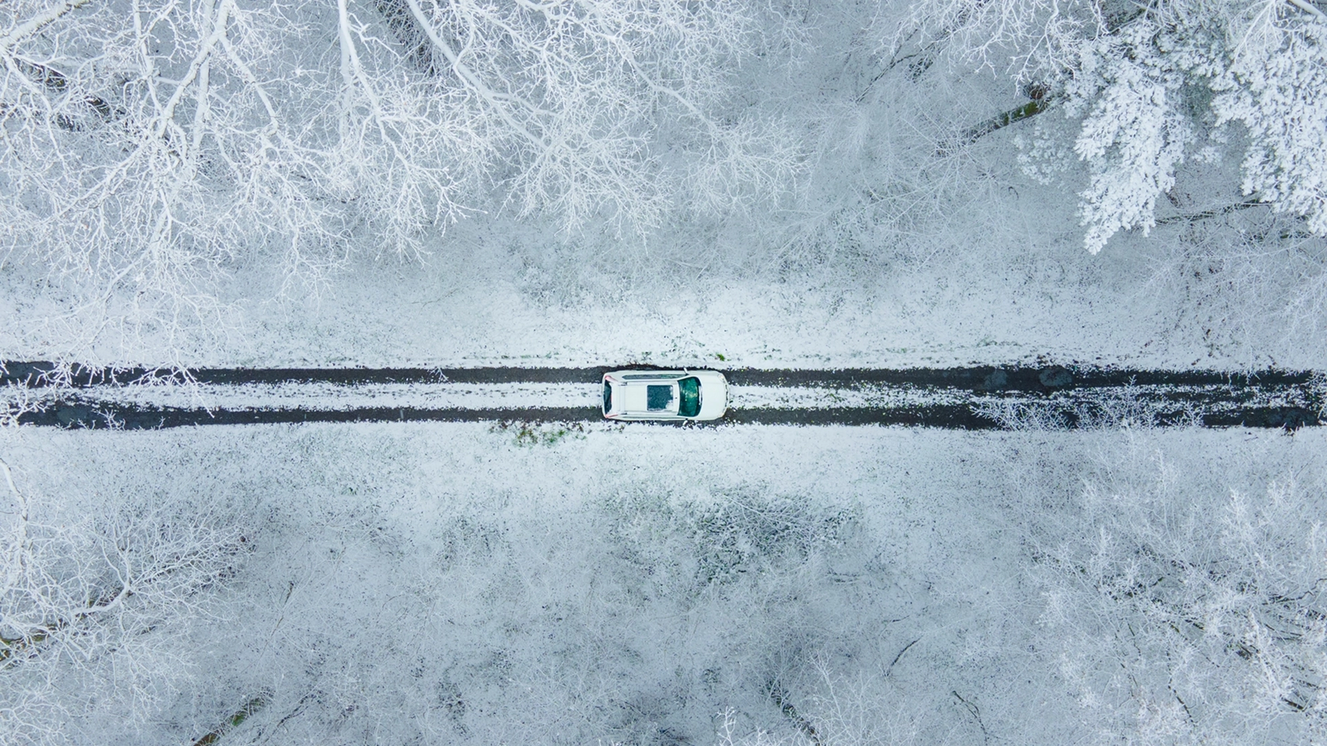 View of the white car from above in frozen winter forest copy space