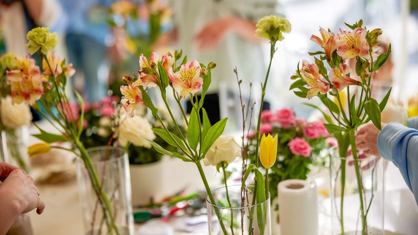 vn-den-1920x1080 (1)